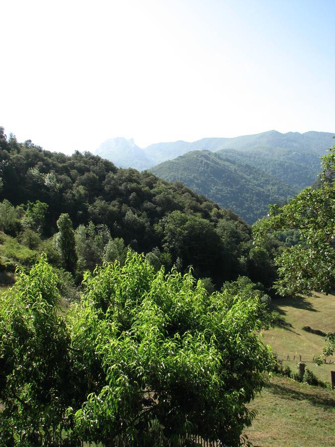 Viviendas Rurales Aldea De Dosamantes Pesaguero-La Parte Εξωτερικό φωτογραφία